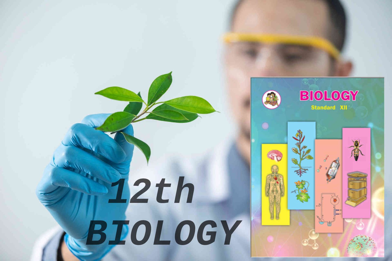 Biology XII – MHT-CET